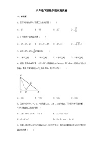 人教版八年级数学下学期期末测试卷6（含答案）
