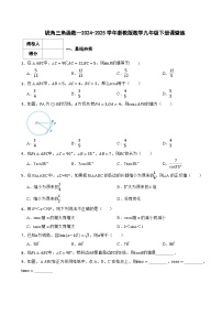 初中数学浙教版（2024）九年级下册第一章 解直角三角形1.1 锐角三角函数课时作业