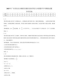 2025年广东省汕头市潮阳区潮阳实验学校九年级数学中考模拟试题