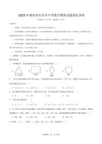 2025年湖南省长沙市中考数学模拟试题强化训练