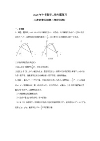 2025年九年级中考数学二轮专题复习二次函数压轴题（角度问题）练习试题含解析答案
