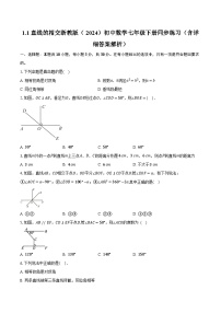 浙教版（2024）七年级下册（2024）1.1 直线的相交优秀课后练习题