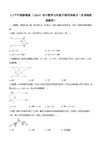 浙教版（2024）1.3 平行线精品课时训练