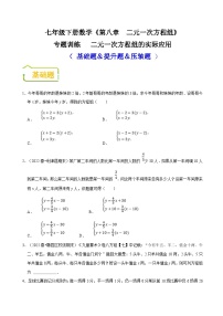 （人教版）数学七年级下册期末复习训练专题 二元一次方程组的实际应用（2份，原卷版+解析版）