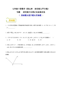 （人教版）数学七年级下册期末复习训练专题 相交线中分类讨论思想求角（2份，原卷版+解析版）