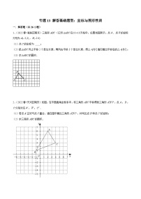 （人教版）数学七年级下册期末复习专题13 解答基础题型：坐标与图形性质（2份，原卷版+解析版）