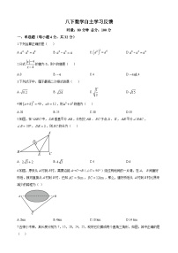 长沙市青竹湖湘一外国语学校2023-2024学年八年级下学期开学考试数学试题