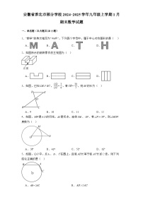 安徽省淮北市部分学校2024-2025学年九年级上学期1月期末 数学试题（含解析）