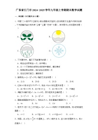 广东省江门市2024-2025学年九年级上学期期末 数学试题（含解析）