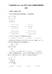 广东省深圳市2024-2025学年九年级上学期期末模拟 数学试卷（含解析）