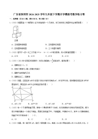 广东省深圳市2024-2025学年九年级下学期开学适应性模拟考 数学练习卷（含解析）