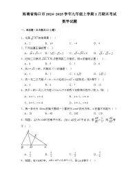 海南省海口市2024-2025学年九年级上学期1月期末考试 数学试题（含解析）