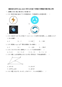 湖南省长沙市2024-2025学年九年级下学期开学适应性模拟考 数学练习卷（含解析）