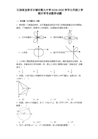 江西省宜春市丰城市第九中学2024−2025学年九年级上学期开学考试 数学试题（含解析）
