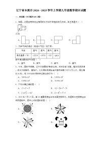 辽宁省本溪市2024-2025学年上学期九年级 数学期末试题（含解析）