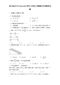 四川省内江市2024-2025学年九年级上学期期末考试 数学试题（含解析）