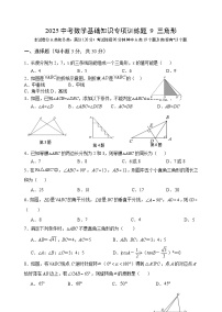 2025中考数学基础知识专项训练题9 三角形【含答案】
