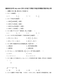 湖南省长沙市2024-2025学年七年级下学期开学适应性模拟考 数学试卷（含解析）