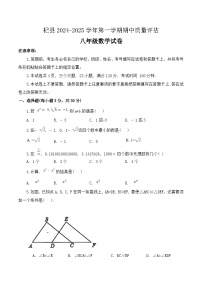 河南省开封市杞县2024-2025学年八年级上学期11月期中考试数学试卷(含答案)