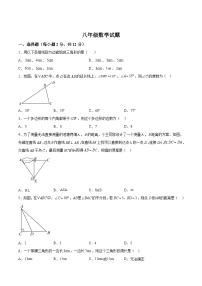 吉林省四平市双辽市2024-2025学年八年级上学期10月期中考试数学试卷(含解析)