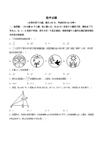 重庆市第八中学校2025届九年级上学期期中考试数学试卷(含解析)
