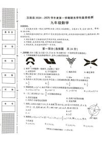 陕西省安康市汉阴县2024-2025学年九年级上学期1月期末考试数学试题