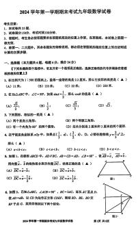 上海市宝山区2024-2025学年九年级上学期期末数学试卷（一模）