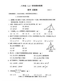 浙江省嘉兴市2024--2025学年八年级数学上学期期末试卷