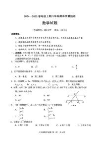 重庆市南岸区2024—2025学年八年级上学期期末质量监测数学试卷