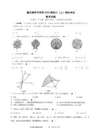 重庆市南开中学校2024-2025学年九年级上学期期末考试数学试题