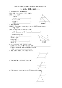 人教版（2024）七年级下册（2024）7.3 定义、命题、定理习题