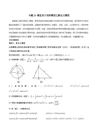 2024年中考数学几何模型归纳训练(通用版)专题23解直角三角形模型之新定义模型(原卷版+解析)