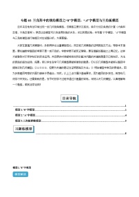 2025年中考数学几何模型归纳训练(全国通用)专题03三角形中的倒角模型之“8”字模型、“A”字模型与三角板模型(原卷版+解析)