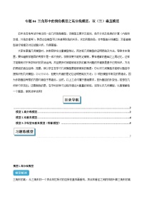 2025年中考数学几何模型归纳训练(全国通用)专题04三角形中的倒角模型之高分线模型、双(三)垂直模型(原卷版+解析)