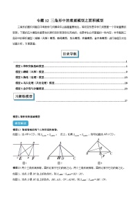 2025年中考数学几何模型归纳训练(全国通用)专题12三角形中的重要模型之面积模型解读与提分精练(原卷版+解析)