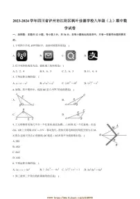 2023～2024学年四川省泸州市江阳区枫叶佳德学校八年级上期中数学试卷(含答案)