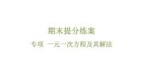 期末提分练案-专项 一元一次方程课件 2024-2025学年华东师大版数学七年级下册