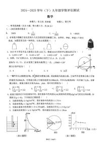 广东省深圳市深圳外国语学校2024-2025学年九年级下学期开学考试数学试题