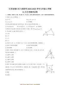 2024～2025学年江苏省靖江市八校联考(月考)九年级上11月月考数学试卷(含答案)