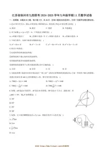 2024～2025学年江苏省徐州市九校联考(月考)九年级上学期11月数学试卷(含答案)