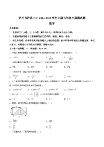 四川省泸县第二中学2024-2025学年七年级上学期11月期中考试数学试卷(含解析)