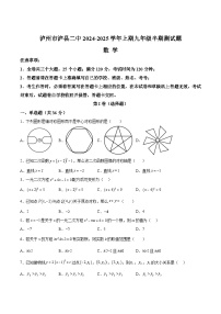 四川省泸县第二中学2025届九年级上学期11月期中考试数学试卷(含解析)