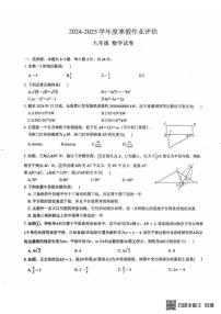 广东省深圳中学2024-2025学年九年级下学期开学考试数学试题