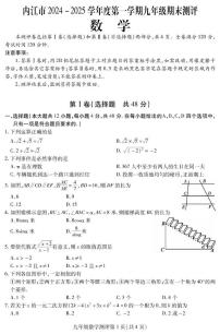 四川省内江市2024-2025学年九年级上学期期末检测数学试题