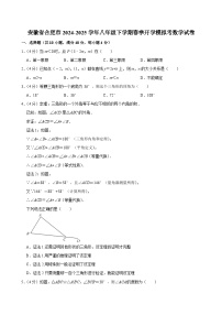 安徽省合肥市2024-2025学年八年级下学期春季开学模拟考 数学试卷（含解析）