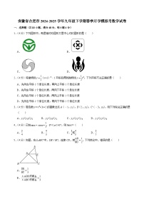 安徽省合肥市2024-2025学年九年级下学期开学模拟考 数学试卷（含解析）