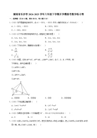 湖南省长沙市2024-2025学年八年级下学期开学适应性模拟考 数学练习卷（含解析）