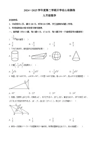 陕西省西安市高新第二初级中学2024-2025学年九年级下学期开学检测 数学试题