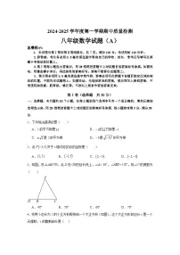山东省滨州市滨城区2024-2025学年八年级上学期期中考试数学试卷(含答案)