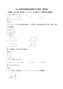 陕西省咸阳市渭城区2024届九年级下学期中考一模数学试卷(含解析)